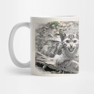 Wild cat Mug